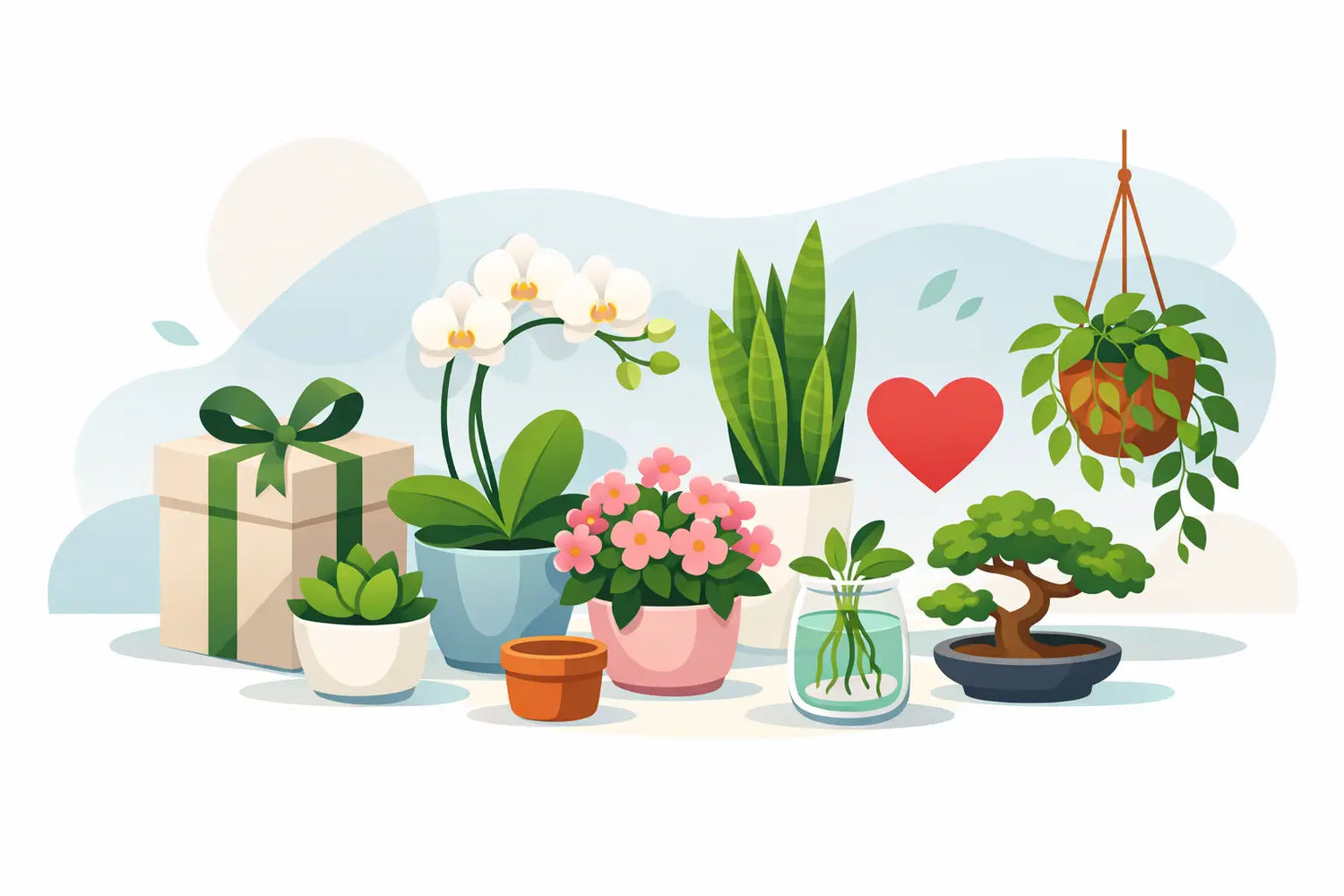 Welche Pflanze als Geschenk? 10 gute Ideen