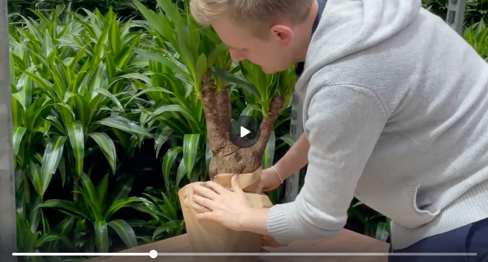 Laden Sie das Video: 